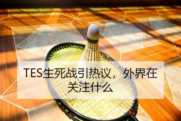 TES生死战引热议，外界在关注什么